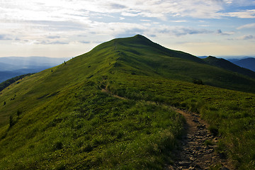 Image showing Green mountain Carpathians