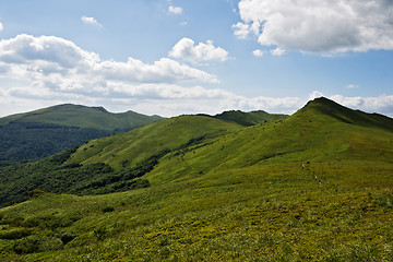 Image showing Green mountain Carpathians