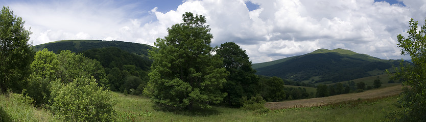 Image showing Panoramic green mountain carpatians