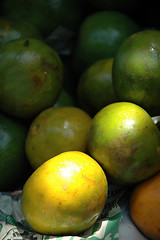 Image showing Pile of citrus