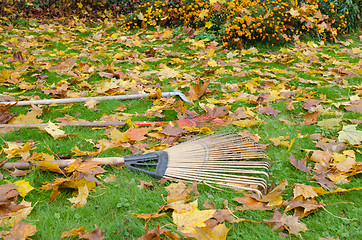 Image showing rake tools lie autumn meadow ground color leaves 