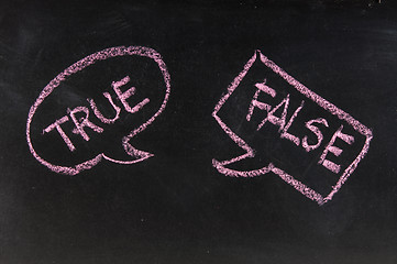 Image showing Speech bubbles for True and False