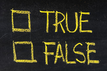 Image showing True and false check boxes