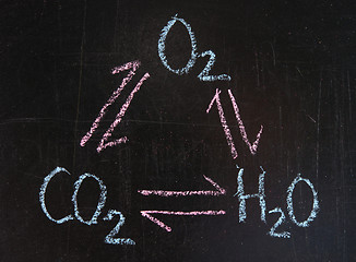 Image showing Interaction of oxygen, carbon dioxide and water