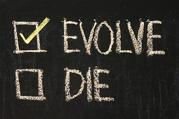 Image showing Chalk drawing - Evolve or die 