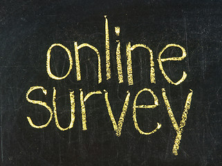 Image showing online survey