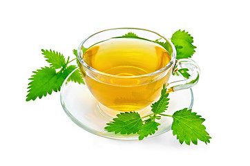 Image showing Herbal tea with nettles