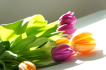 Image showing Bouquet of tulips