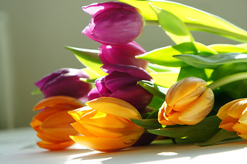 Image showing Tulips                     