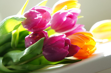 Image showing Tulips mix