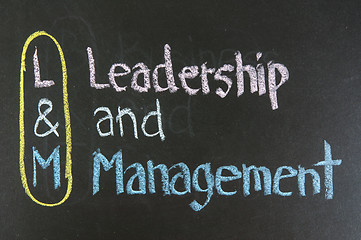 Image showing L&M acronym Leadership and Management