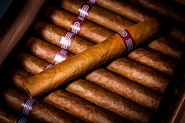 Image showing Cigars in humidor