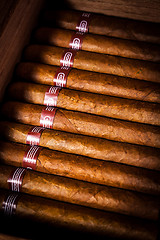 Image showing Cigars in humidor