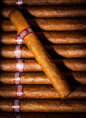 Image showing Cigars in humidor