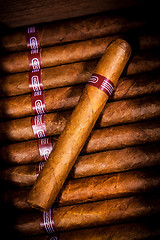 Image showing Cigars in humidor