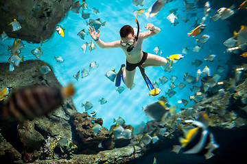 Image showing Snorkeler underwater