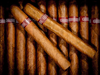 Image showing Cigars in humidor