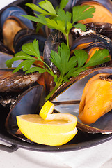 Image showing Mussels