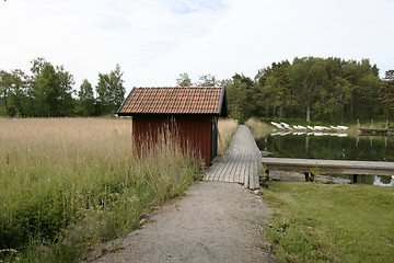 Image showing Nature Landscape