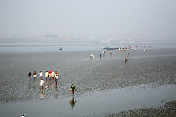 Image showing During low tide the water in the river Malta falls so low that people walk to the other shore in Canning Town