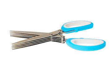 Image showing Scissors for green