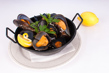 Image showing Steamed mussels
