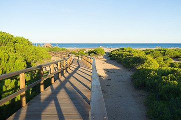 Image showing Carabassi beach