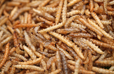 Image showing Fried edible larvae close-up