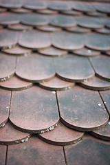 Image showing old house red roof tiles