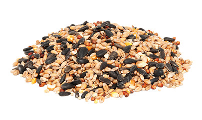 Image showing Pile of bird seed including sunflower seeds, wheat and maize
