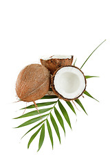 Image showing Coconut with leaves