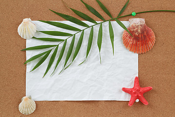 Image showing Background with blank crumpled paper, seashells, palm leave and seashell