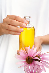 Image showing Hands of young woman holding essential oil and fresh coneflowers