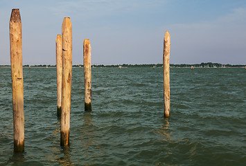 Image showing Wooden Poles