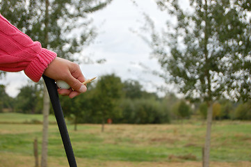 Image showing Golfer leaning on his club, with a golf ball and tee in his hand