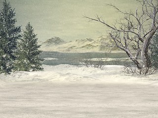 Image showing Winter Wonderland Background