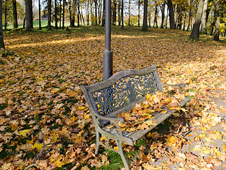 Image showing retro steel bench autumn park colorful leaves 