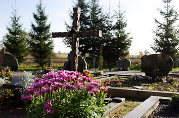 Image showing chrysanthemum flower grave cross monument cemetery 