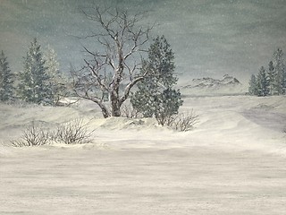 Image showing Winter Wonderland Background