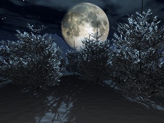 Image showing Winternight