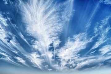 Image showing Daytime sky with stratus clouds