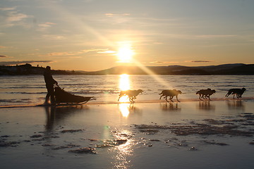 Image showing Sleddog team on the Nøsen Lake