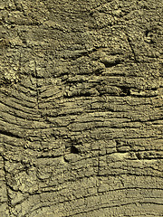 Image showing Very old weathered wood texture