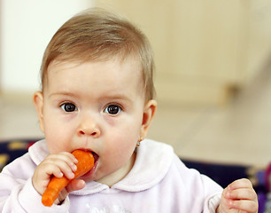 Image showing Baby eating carrot