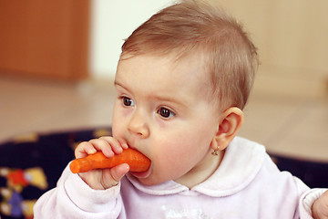 Image showing Baby eating carrot