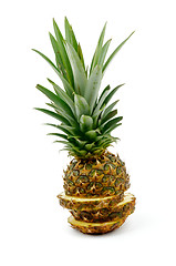 Image showing Pineapple