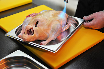 Image showing Raw duck