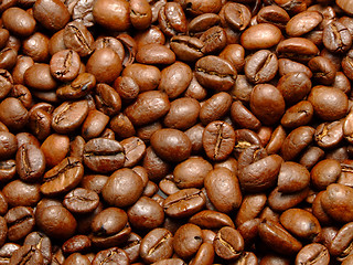 Image showing Coffee beans