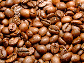 Image showing Coffee closeup
