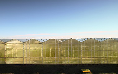 Image showing Hothouse outside